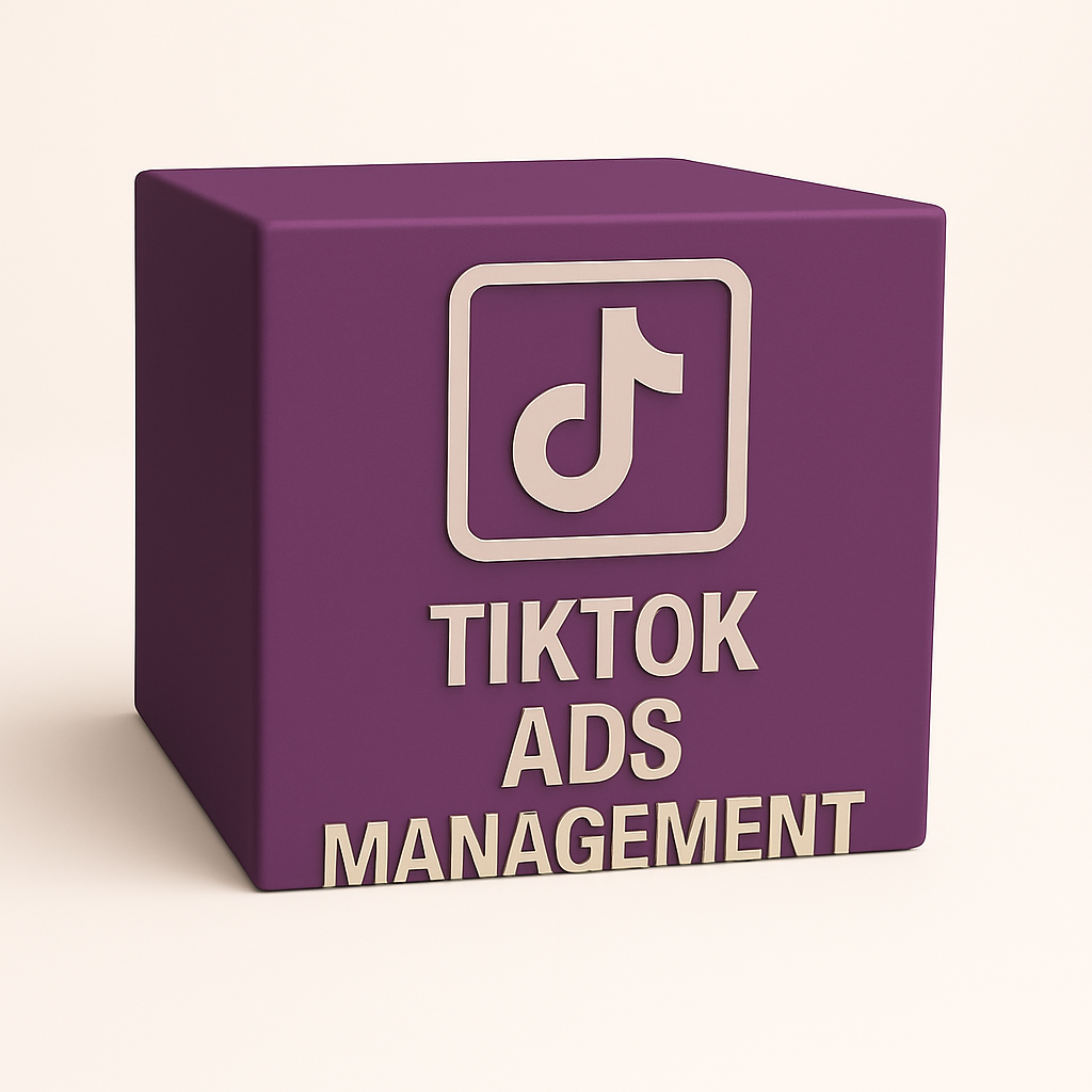 TikTok Ads Management